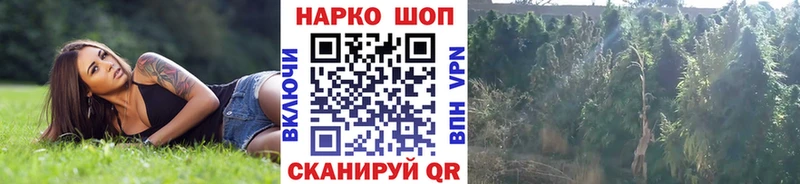 Где можно купить наркотики Мглин Конопля  Вейп ТГК  МЕФ  MEGA ссылка  Альфа ПВП 