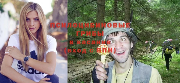 стафф Арсеньев