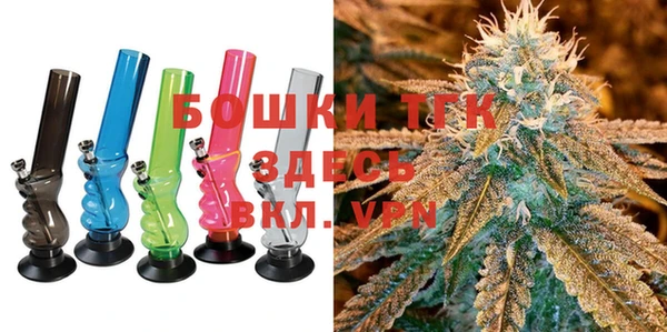 стафф Арсеньев