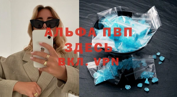 сатива Аркадак