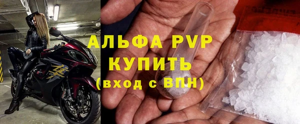 сатива Аркадак
