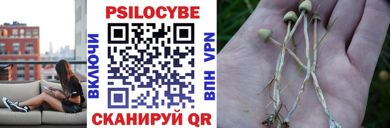 наркотики  Мглин  mega зеркало  Псилоцибиновые грибы прущие грибы 